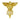 Pocket Nurse Registered Nurse Pin -For Training Use Only