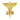 Pocket Nurse Licensed Practical Nurse Pin -For Training Use Only