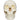 Demo Dose Basic Adult Skull -For Training Use Only
