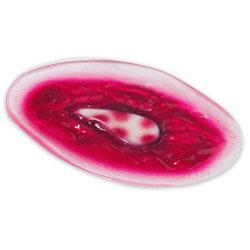 Simulaids Chest Wound Simulation Model