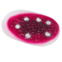 Simulaids Large Sepsis Wound Stickon