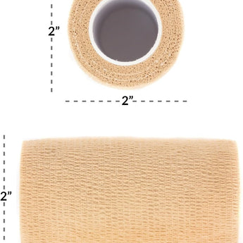 #color_tan