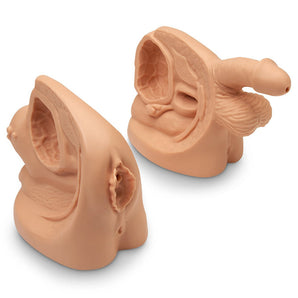 Simulaids Male & Female Catheterization Trainer Set