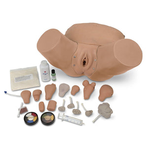 Simulaids Pelvic/GYN Examination Simulator – Advanced