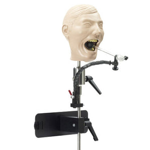 Simulaids X-Ray Dental Manikin