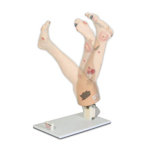 Simulaids Optional Display Stand