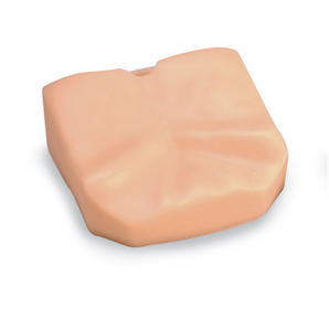 Simulaids Emergency Airway Trainer