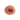 Nasco Diabetic Ulcer – 20mm
