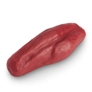 Nasco 5-lb. Enhanced Muscle Replica
