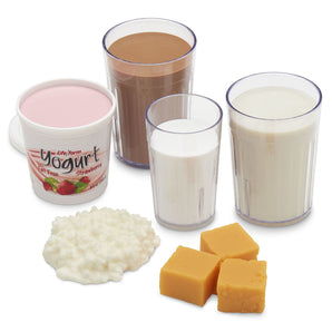 Nasco Basic Dairy Food Replica Kit