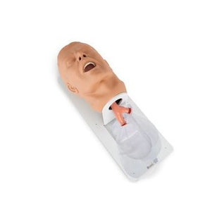 Economy Adult Airway Trainer