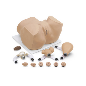 Eva Gynecologic Manikin With Carry Case