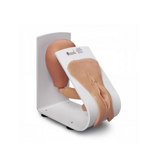 Female Catheterization Training Model