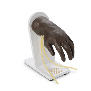 Advanced IV Training Hand – Dark Skin