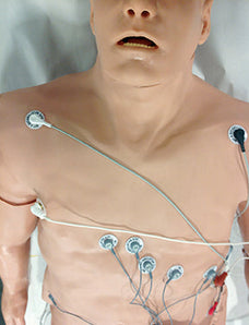 12-Lead Arrhythmia Simulator