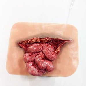 Eviserated Intestine