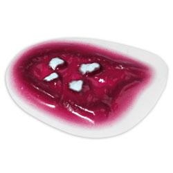 Simulaids Jaw Wound Simulation Model