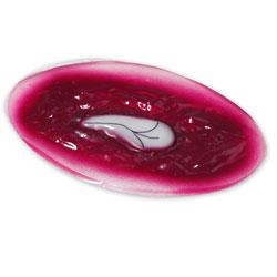 Simulaids Open Head Wound Simulation Model