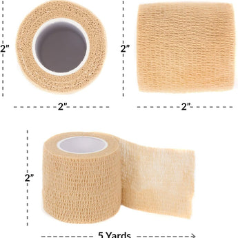 #color_tan