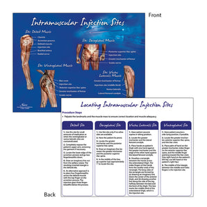 Nasco Intramuscular Injection Sites TearPad