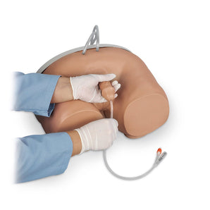 Simulaids Male Cath Simulator