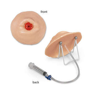 Simulaids Model Retracted Ostomy Care
