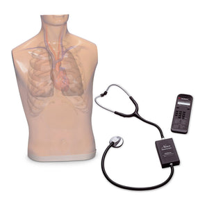 Auscultation Trainer with Speaker