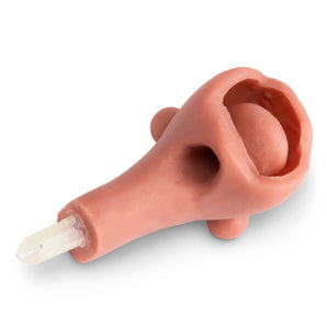 Advanced Airway Replacement for NRP