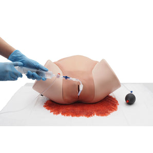 Postpartum Hemorrhage Simulator Trainer