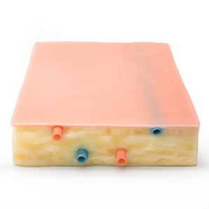 Embedded Biopsy Pad Model