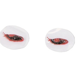 Simulaids Bunny Ears Replacement Parts