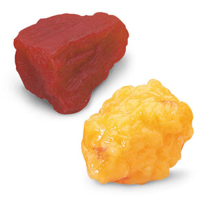 Nasco 1 lb Fat & Muscle Replica Set