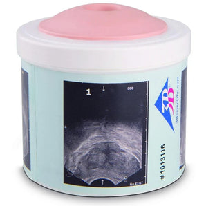 Prostate Examination Trainer