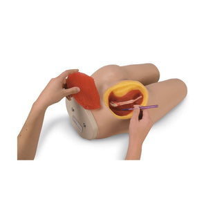 Nasco Intramuscular Injection Simulator